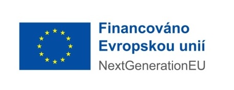 Financováno Evropskou unií